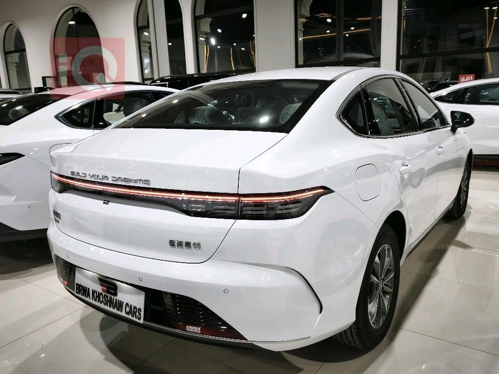 بي واي دي ديستروير 05